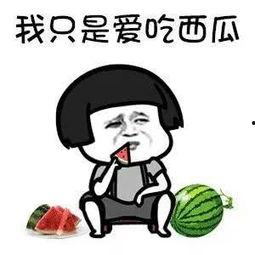 娱乐吃瓜名字叫什么