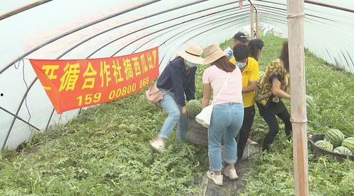 五一吃瓜群众网入口,揭秘热门话题背后的真相与笑料