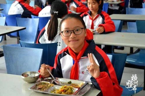 娱乐吃瓜酱实验学校,揭秘校园里的趣味八卦风云